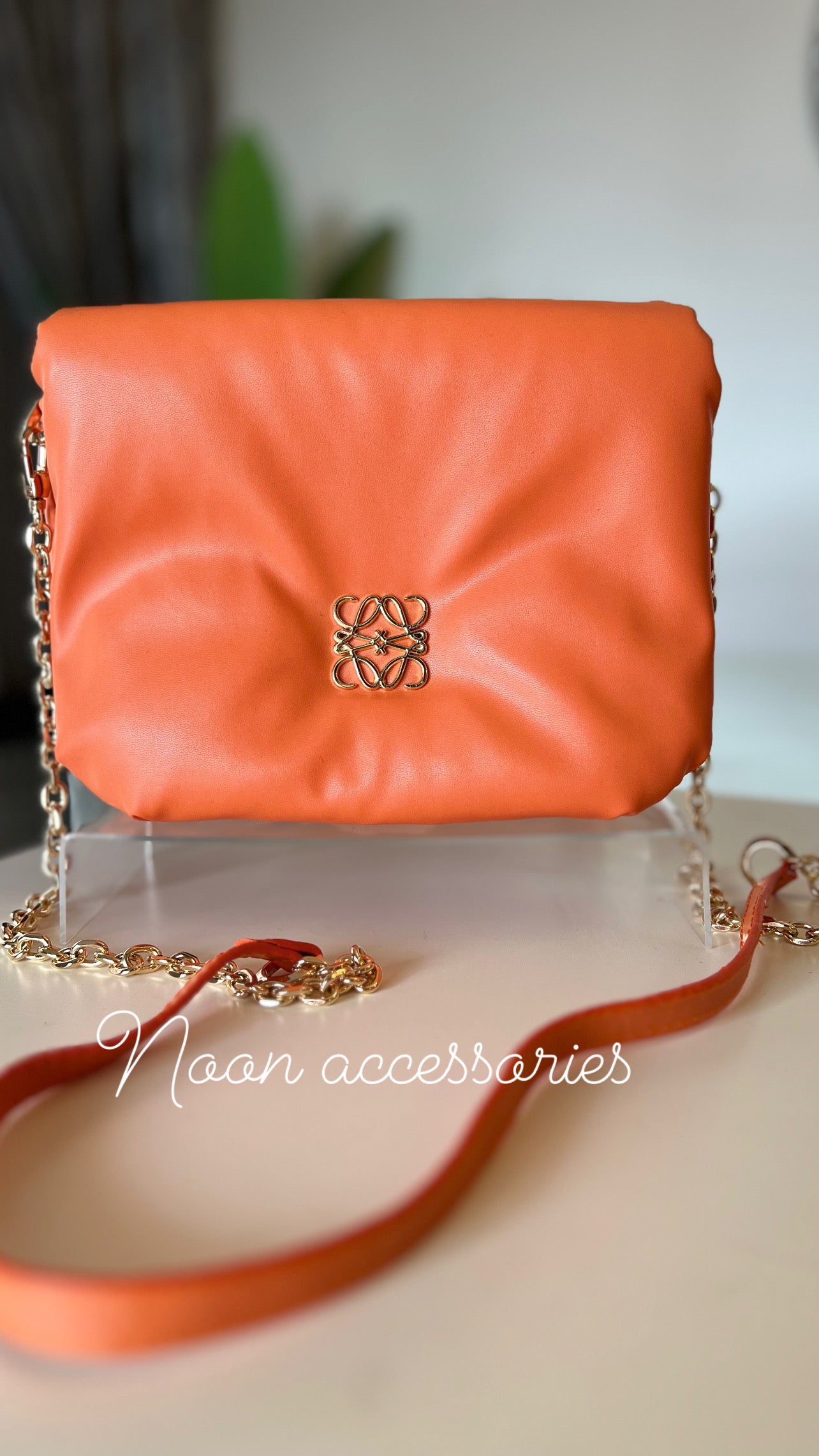 Loewe shoulder bag