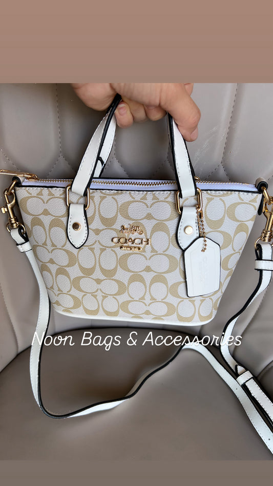 Coach mini tote