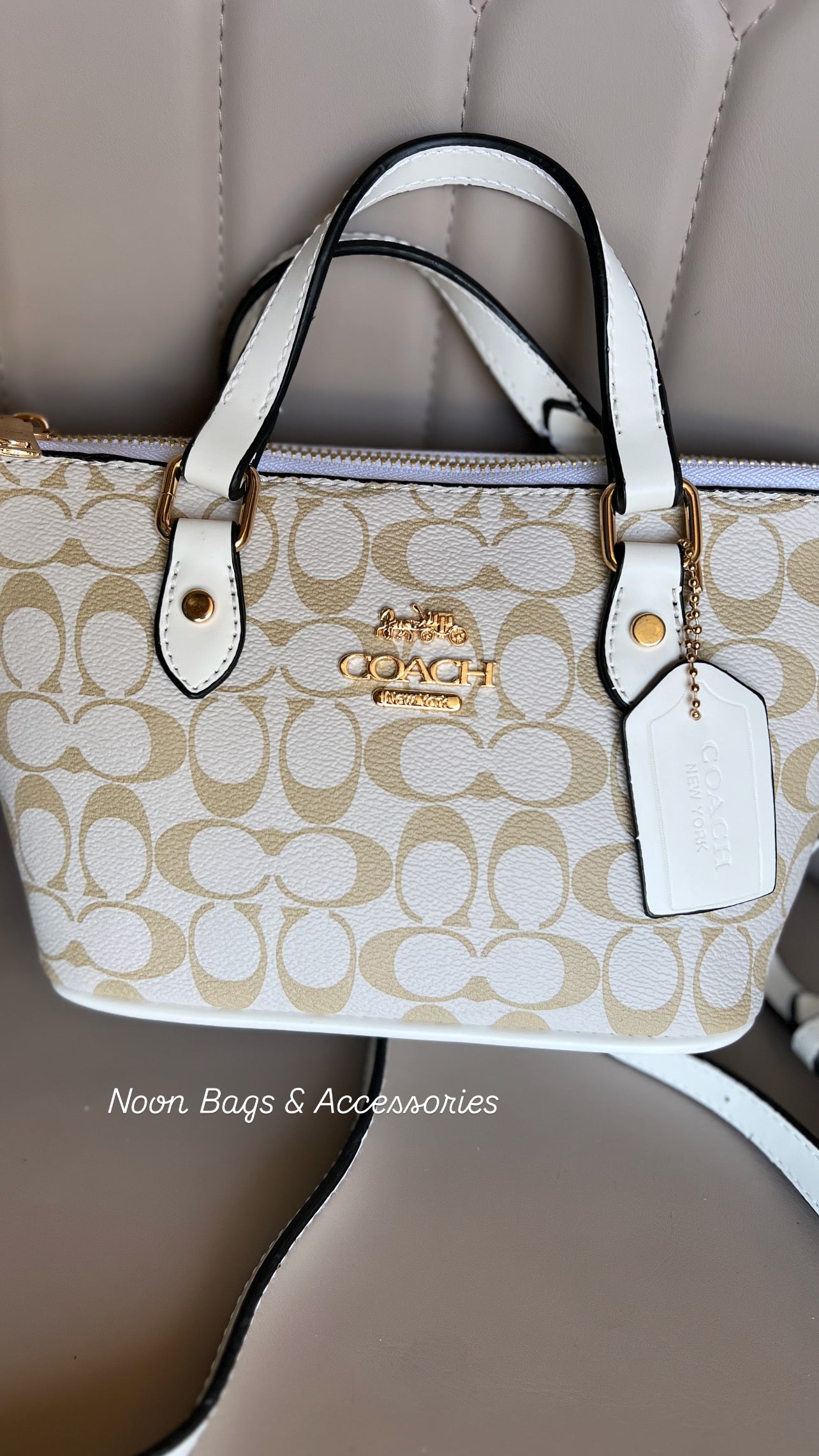 Coach mini tote