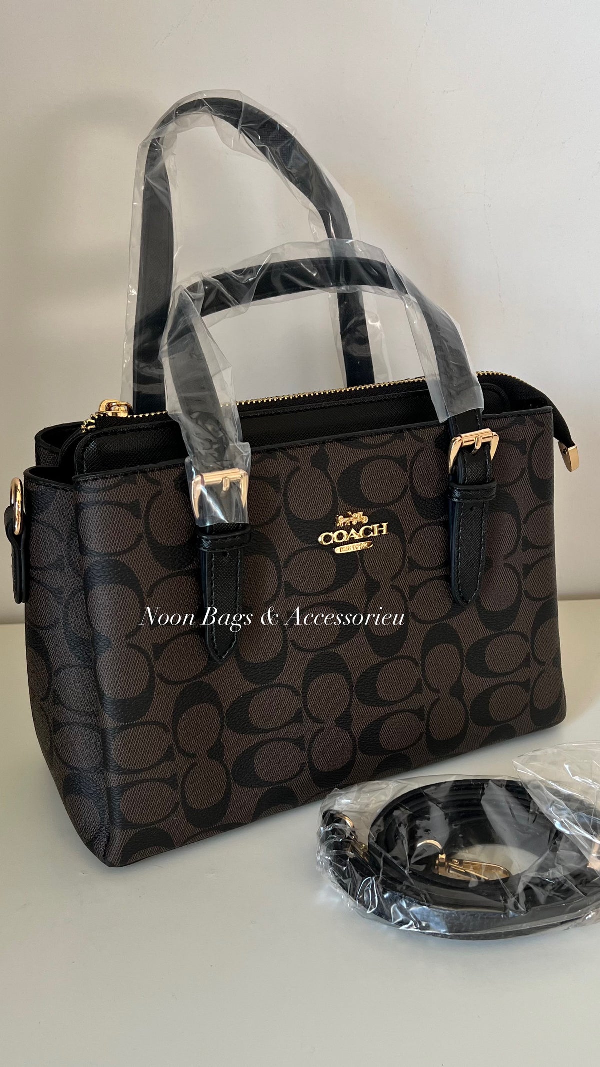 Coach medium bag (brown)