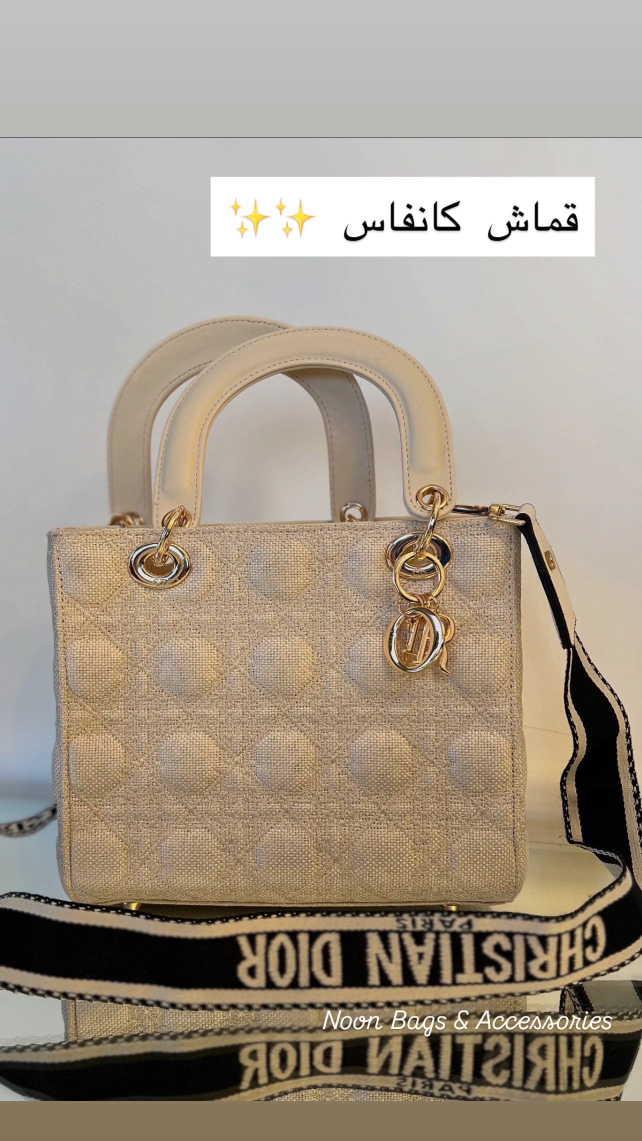Lady Dior medium canvas bag