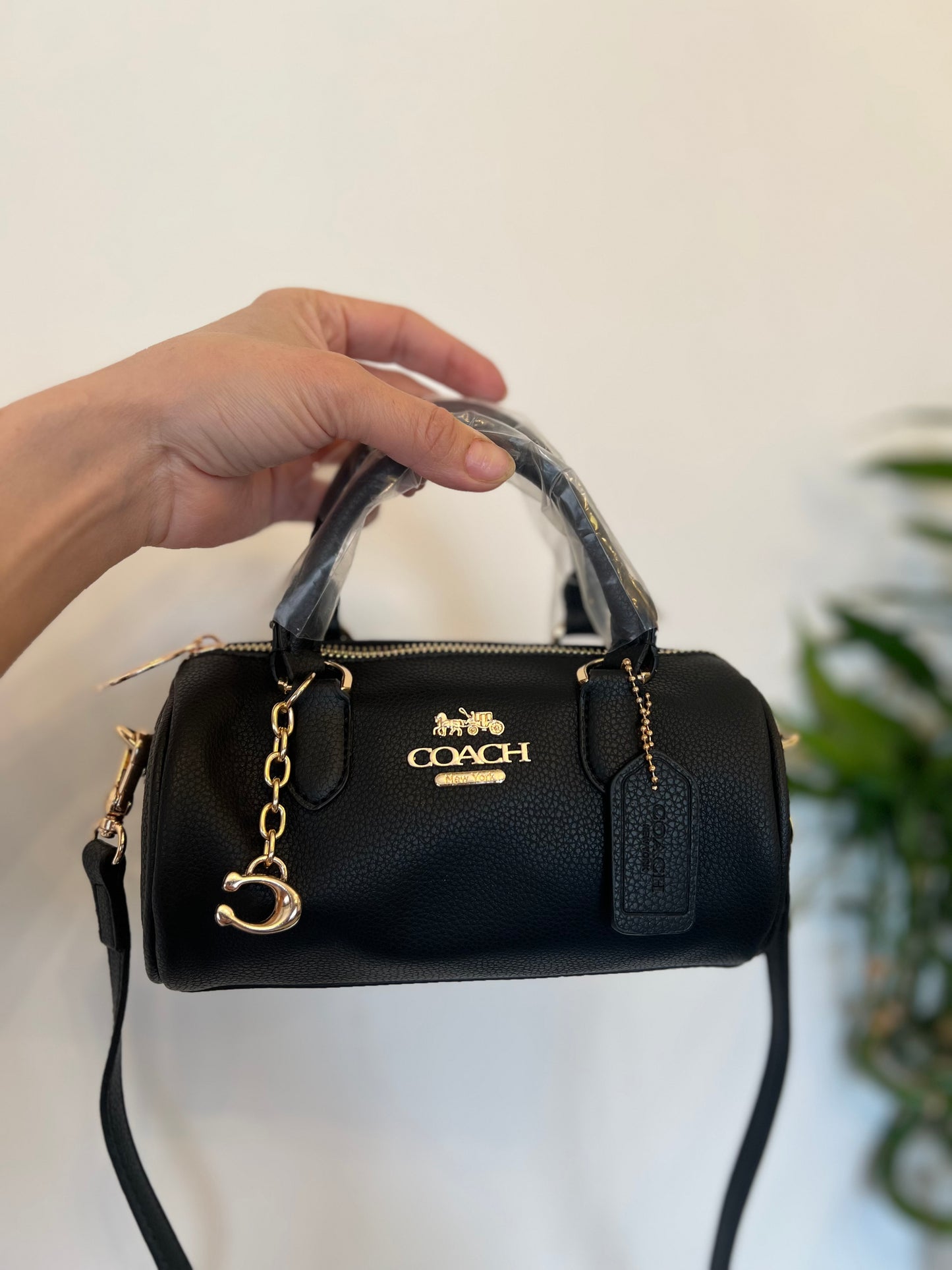 Coach mini bag